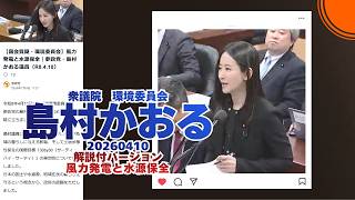 解説付🍊風力発電と水源保全🍊参政党【島村かおる】🍊衆議院環境委員会20260410🍊詳しくは公式ホームページ→（概要欄にリンク）　#島村かおる