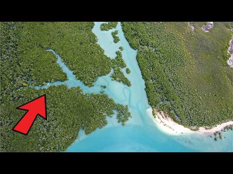 Coastal Creek Fishing at it’s Finest !!