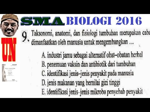 Impotensi dan potensi bedanya Exciter tetes untuk harga perempuan