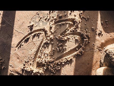 EMMAW - 23 (Visualizer)