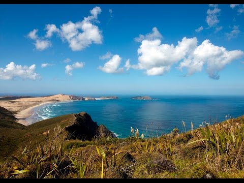 Cape Reinga and Ninety Mile Beach Tours.