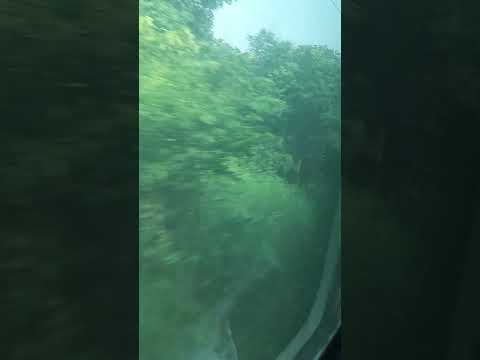 Train Route🚉|Pranati Odia Viralvideo♥️✨ #shorts #youtubeshorts #viralvideo #odia #pranati #journey