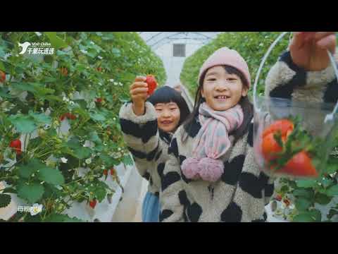 想來一場充實的日本親子旅行嗎？快來千葉縣