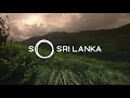 Sinharaja Forest | So Sri Lanka