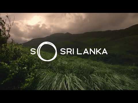 Sinharaja Forest | So Sri Lanka