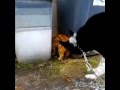 Warm love in this cold world.