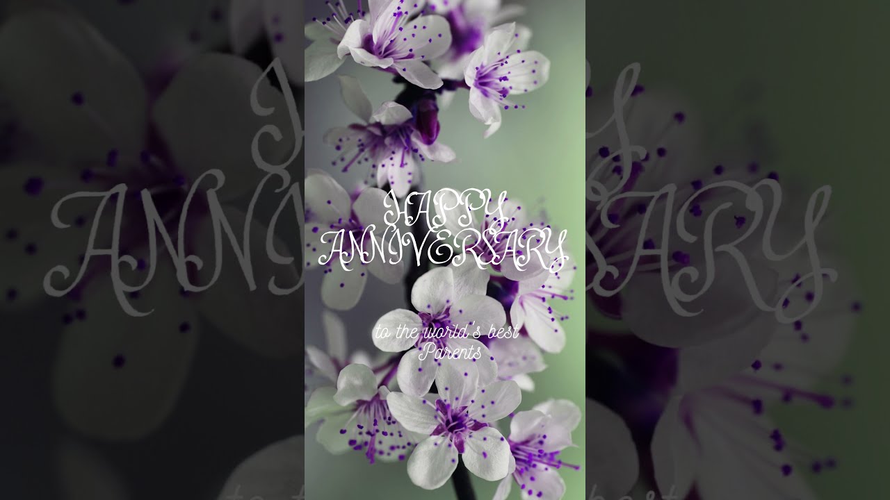 12 Dec | Happy Wedding Anniversary mama & papa |Marriage Anniversary wishes for mom & dad