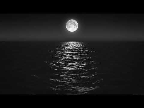 MIRCEA FLORIAN - Situaţia ca o parafrază