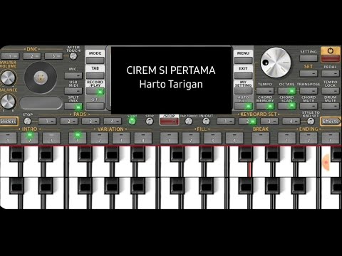 CIREM SI PERTAMA || HARTO TARIGAN || Gendang Patam Karo ORG 2021