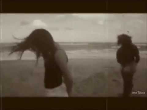 Célula Procariótica X Célula Eucariótica - PARÓDIA (Beijinho no ombro)