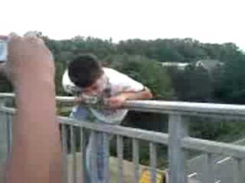 Hohle sau wiLL von der brücke "jumpen"