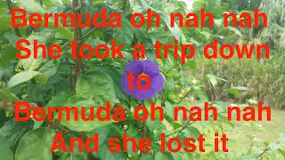 Download lagu Jesse Seymour   Bermuda Oh Nah Nah                Havana Riddim       TCEV mp3 Download lagu Jesse Seymour   Bermuda Oh Nah Nah                Havana Riddim       TCEV mp3