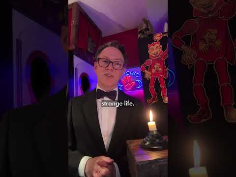 Video preview for GL: Things I Took From The Dark As Told By Reece Shearsmith Trailer from Youtube