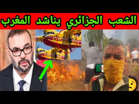 المغرب، والله، لا يحلم بامتلاك طائرات كنادير مثل الجزائر. الجزائر أقوى، والدليل.🤣🤣