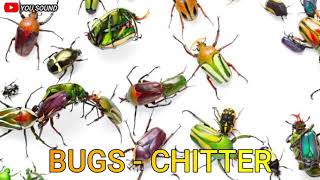 Download lagu BUGS suara kumbang kumbang mp3