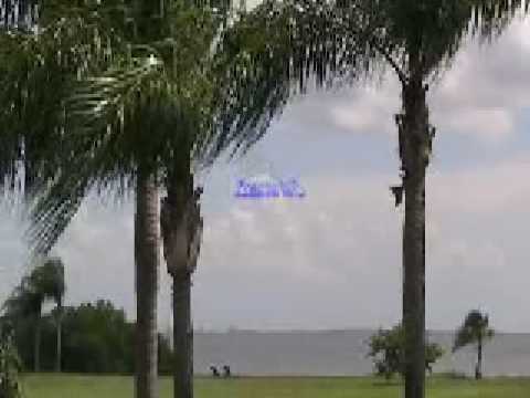 Promotional video thumbnail 2 for TropicAllusion