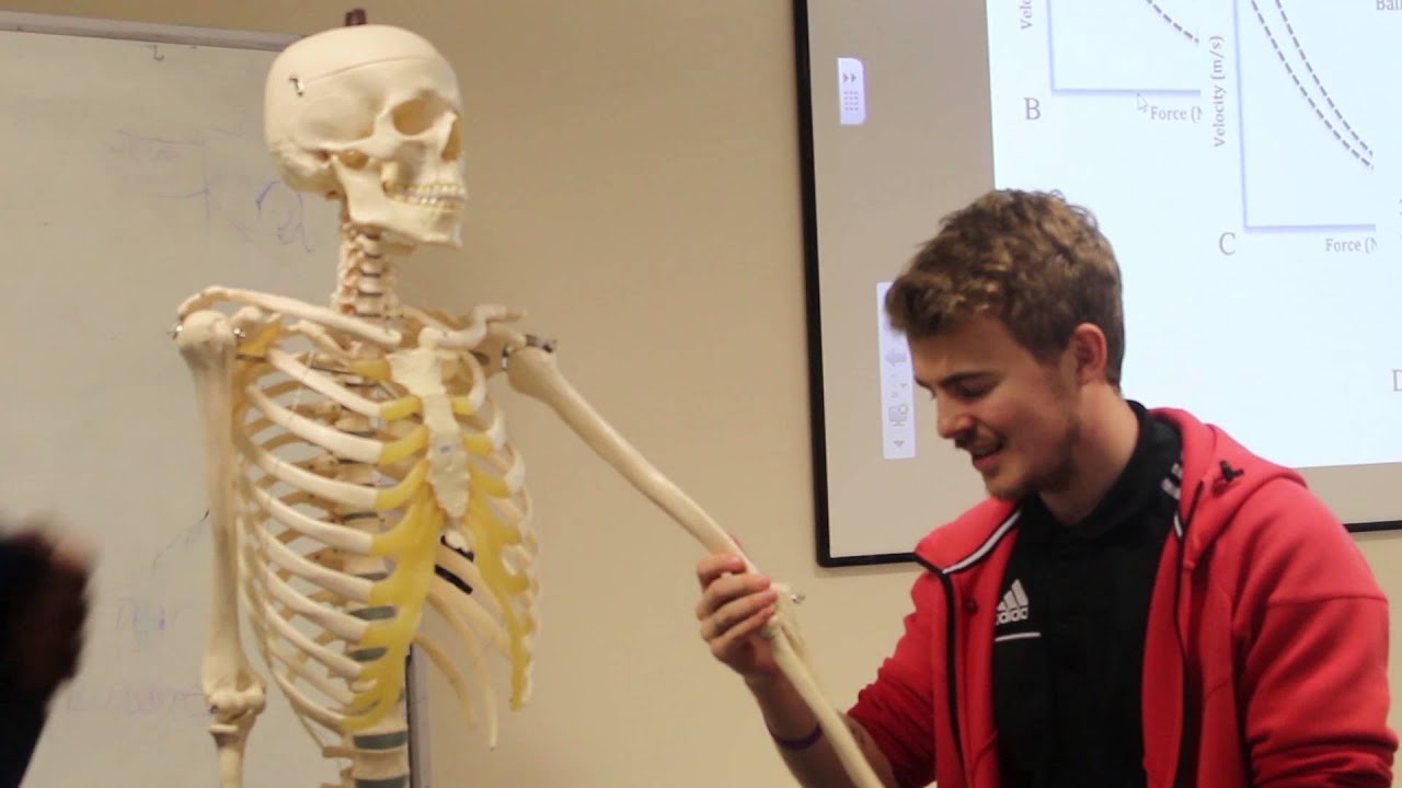 FdSci Sport Science and Physical Education