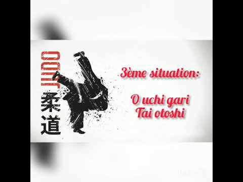 BPJEPS-Judo/2019-2020/Technique/Tendoku-Renshu/Tai-Otoshi/Morgane-Duchene