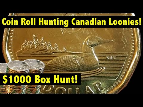 Coin Roll Hunting $1,000 in Canadian Loonies - Can we find a rare one?!