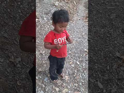 prabal #nature #funny