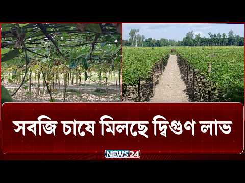 সবজি চাষে মিলছে দ্বিগুন লাভ-নিউজ24