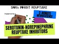 2-Minute Neuroscience: Serotonin-Norepinephrine Reuptake Inhibitors (SNRIs)