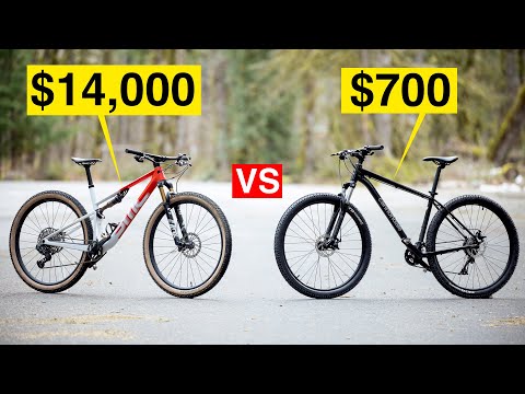 Entry Level vs Super Bike