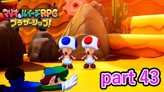 せっかくの記念撮影が台無しになってしまった【マリオ&ルイージRPG ブラザーシップ！】実況プレイ part 43