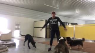 &#39;Takes My Body Higher&#39; for Rock That Body, LLC