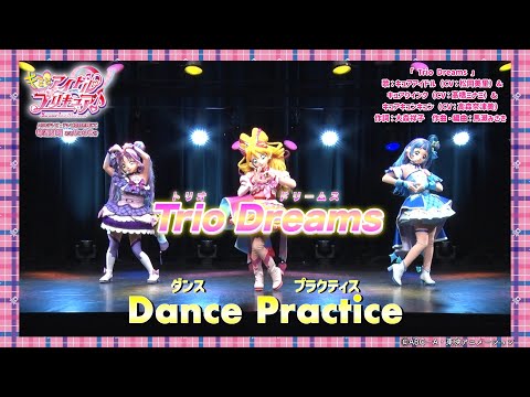 キミとアイドルプリキュア♪ Video18