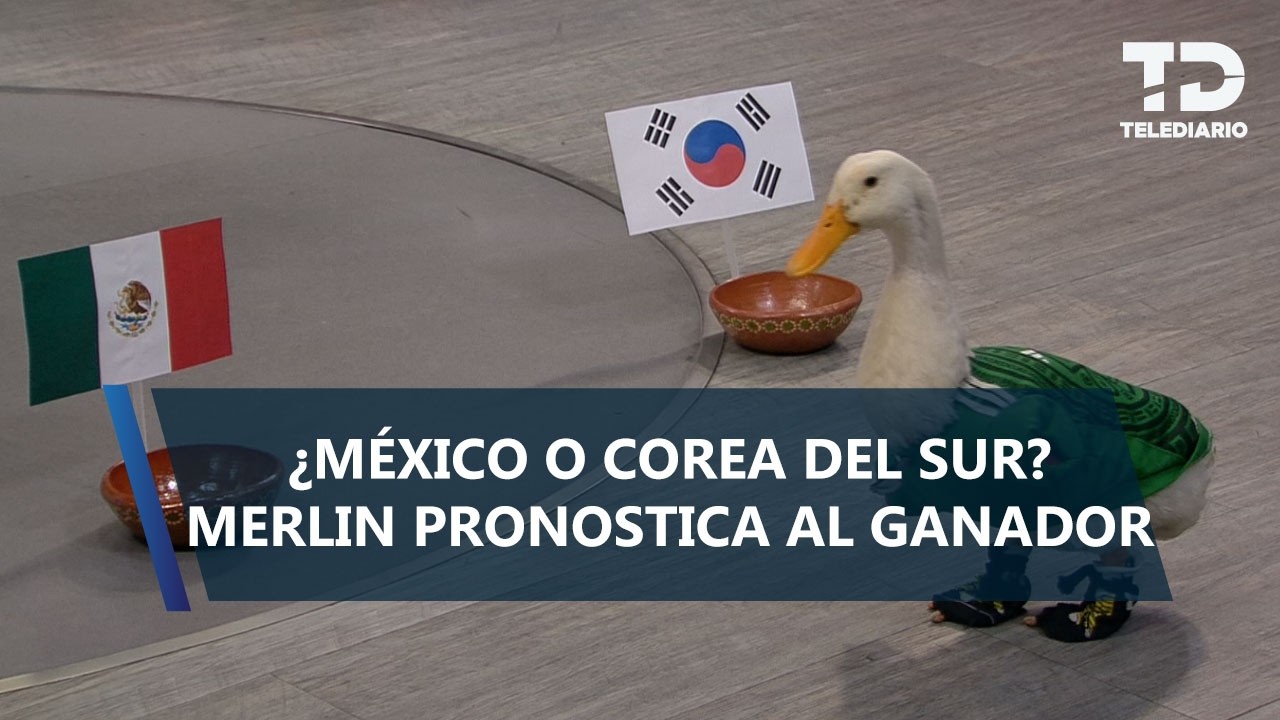 ¿México o Corea del Sur? Merlín el pato visita TELEDIARIO y pronostica al ganador