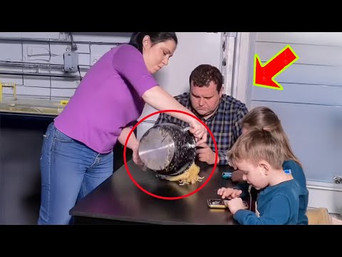 The Mother Spilled the Whole Pot of Noodles on the Dining Table, The Reason Makes Everyone Think!