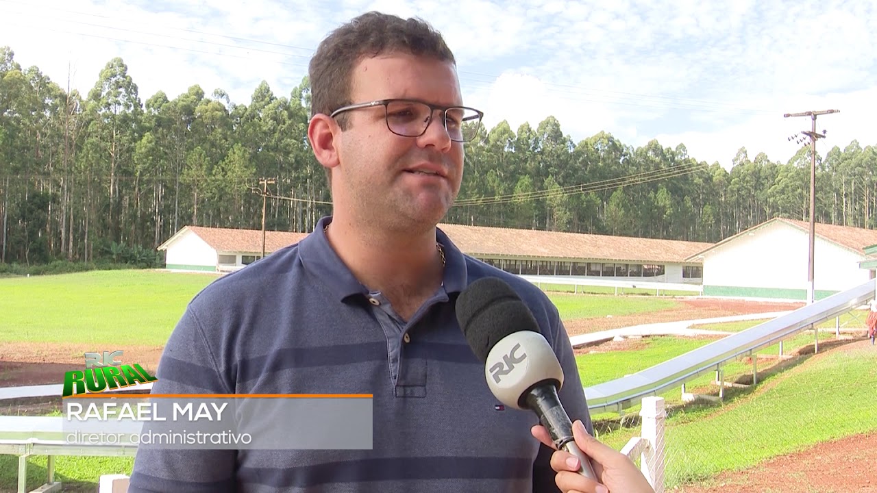 Granja produz ovos de forma mais natural no Oeste do Paraná