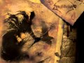 Equilibrium - Wurzelbert