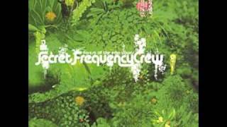 Secret Frequency Crew- Holographic Moon Owls