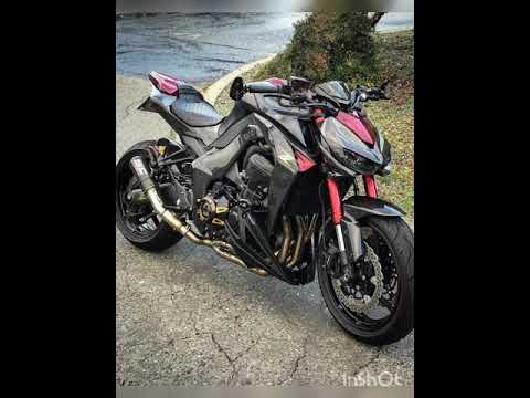 Dan Lellis-Signo De Cachaceira