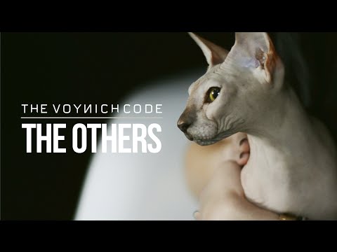 The Voynich Code - The Others (Official Music Video)