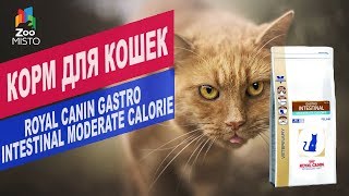 Royal Canin Gastro Intestinal Moderate Calorie 2 кг (4008020) - відео 1