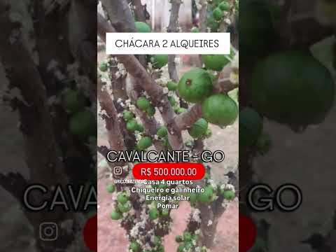 2 Alqueires em Cavalcante Goiás/ whatsapp 62 99373-6407