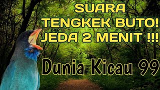 Download lagu SUARA BURUNG TENGKEK BUTO JEDA 2 MENIT UNTUK MASTERAN ! mp3