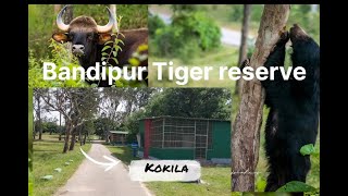 How to book Bandipur Govt. Cottages and Safari | Bear | Gaur | Leopard sighting | subtitle
