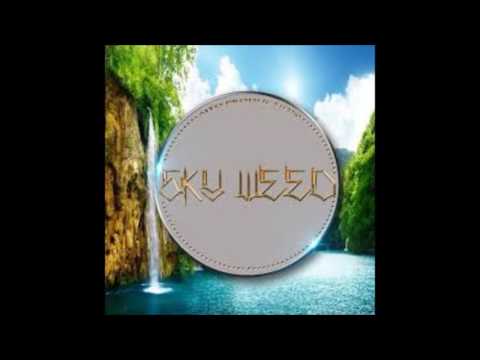 SKYWEED x AMBIANCE 2016