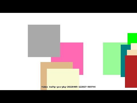 Video #sftp-gcs-pkg-20220405-122027-869744