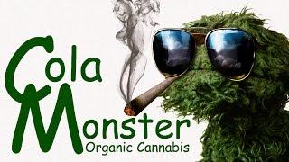 2016 Dried Nug. Show #1