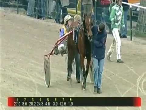 Ziyi wint met Josette Pools voor tr. S. de Glee "Nightrider Melo-prijs" - Alkmaar 6 nov 2011