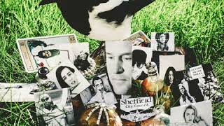 The Moonlandingz - Dirty Red Rose