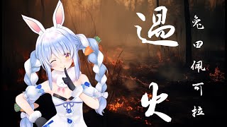 [問卦] 台灣這麼亂是我給你自由過了火嗎