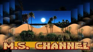 🌟 MIDNIGHT AT THE OASIS_KIRK WHALUM &BOB JAMES 🌟