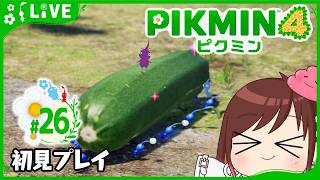いくか…土管の中…【ピクミン4初見プレイ】 #おはようvtuber  #26