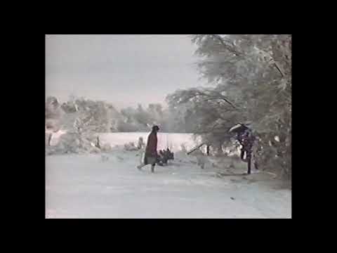 Heimische Tierwelt im Winter - Theo Kubiak (1974)